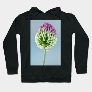 Allium sphaerocephalon AGM Round-headed garlic Round-headed leek Hoodie